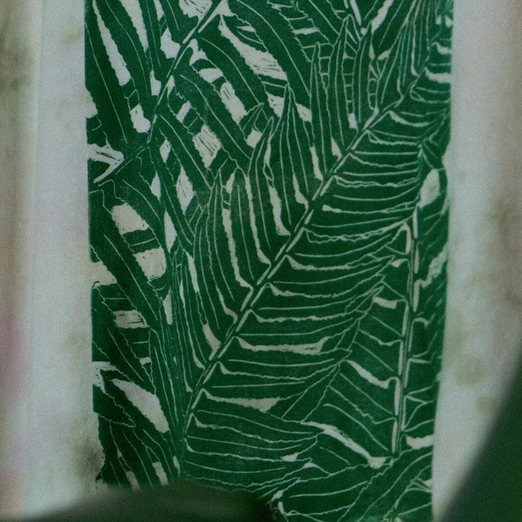 Fern